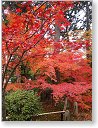 ▲ 2011/12/03 11:06